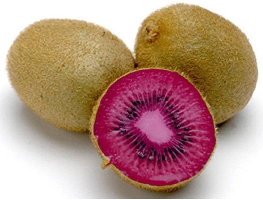 Pink Kiwi Actinidia kolomikta seeds for planting in home garden